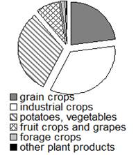 Fig. 1. Structure of the gross agricultural output of Dnipropetrovsk region
